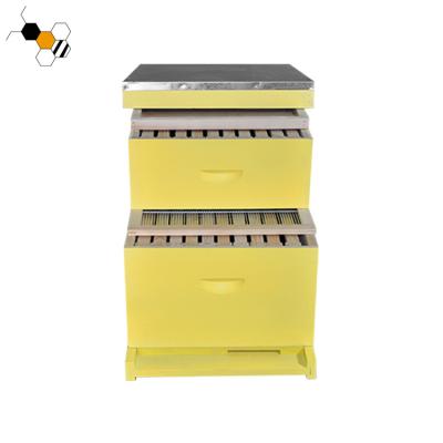 China Bee farm hive for bees hive box painted langstroth bee hives for sale