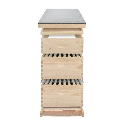 China Bee Farm Hive For Bee Hive Box Langstroth Bee Hives for sale