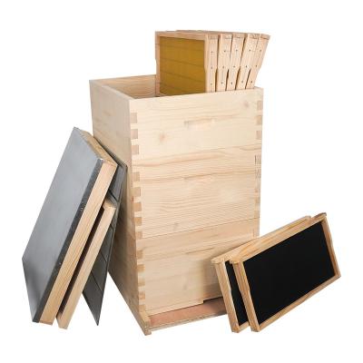 China Farms Bee Hive Kit Langstroth Hive 10 Frame for sale