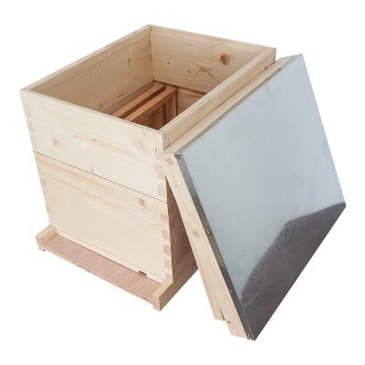 China Farms Langstroth Hive 10 Frame Bee Hive for sale