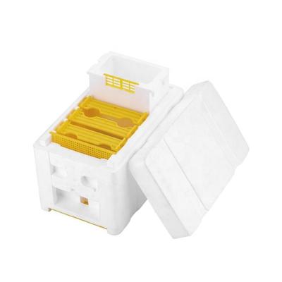 China White Yellow Mating Styrofoam Mini Mating Boxes Styrofoam Bee Hive Box Nuc Box Beekeeping Tool Convenient Equipment for sale