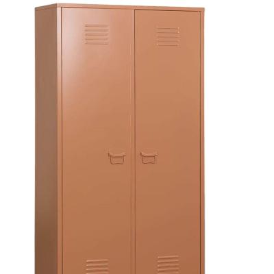 China Expandable Living Room Cabinet Storage Metal 2 Door Locker Furniture For Sale Office Furniture Closet for sale