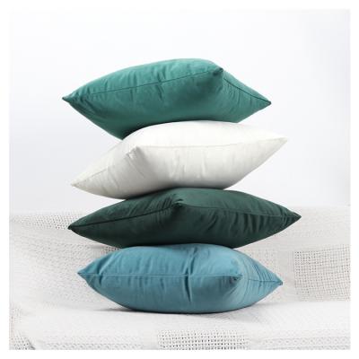 China Amazon Velvet High Quality Anti-pilling Pillow Cases Luxury Cushion Cover For Home Decor for sale