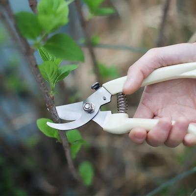 China Modern Stainless Steel Branch Cutting Gardening Scissors for Patio Plants for sale