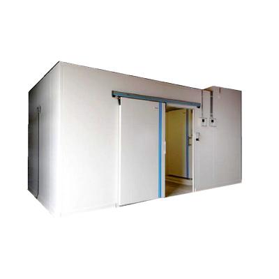 China Building Material Shops ISO Box CE Certificate Industrial Freezing Cold Room With Cheaper Price for sale