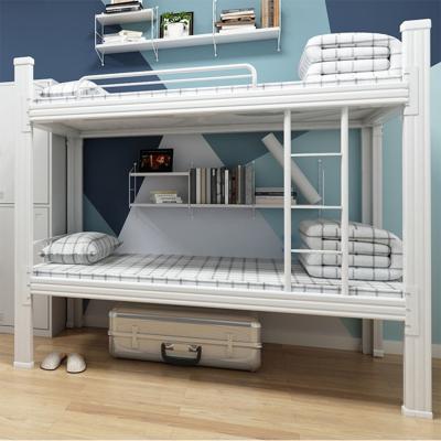 China Durable luxury modern bunk bed for adult bedroom furniture customization wholesale for sale