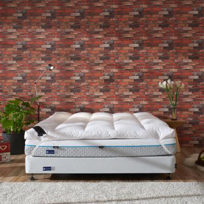 China Skin-Friendly Duck Feather Fabric Bedroom Furniture And Mattress Bottom Topper With Vacuum Bag for sale