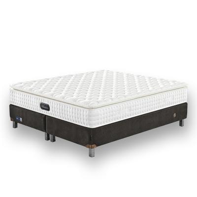 China Durable High Density Natural Compressed Latex Pocket Spring Mattress Manufacturers for sale