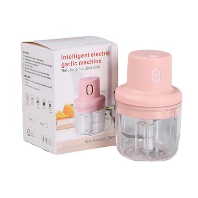 China 100ml/250ml Mini Electric Garlic Chopper USB Onion Meat Press Crusher Vegetable Machine Crusher Baby Food Viable Filling Processor for sale