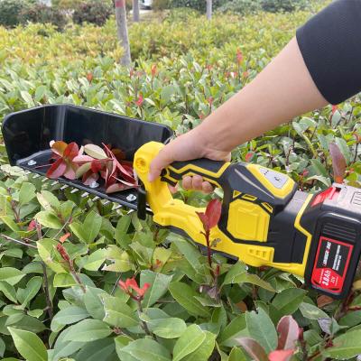 China Rechargeable Brushless Electric Portable Tea Harvester Picker Harvester for sale