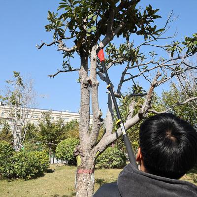 China Essential Tool Professionals Adjustable Telescopic Pole Chainsaw For Tree for sale