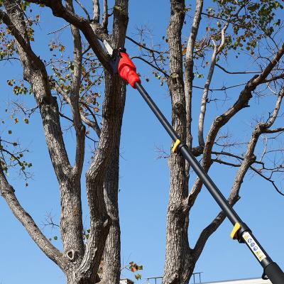 China Telescopic Battery Pole Chainsaw Extendable Reach For Tree Trimming for sale