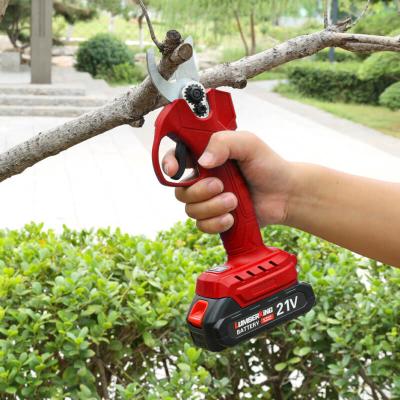 China Electric Battery Cordless Telescopic Tree Long Reach Pole Pruner Shear for sale