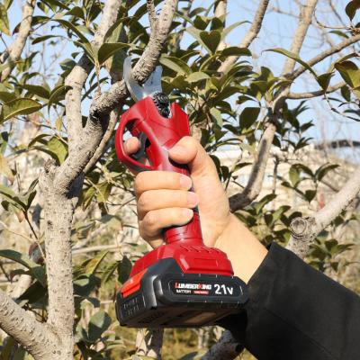 China Long Reach Gardening Tree Branch Cut Cordless Pruning Powered Electric Shears for sale