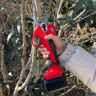 China Garden Electric Pruning Shears Powered Telescopic Gardening Tree Pruners With Extension Pole for sale