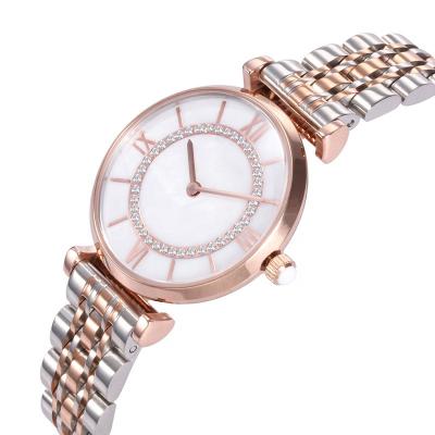 Chine Nouvelle montre-bracelet 2019 de luxe de bijoux de Madame montres de femmes d'acier inoxydable de montres d'analogue de quartz du Japon à vendre