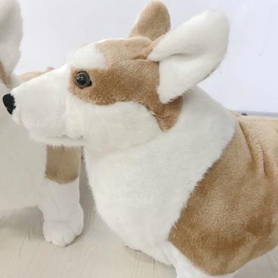 China Gift/Toys/Plushtoys 2019 New Design Realistic Corgis Toys Realistic Plush Toy Corgi Plush Toy for sale