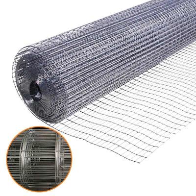 China Hot dip galvanized chain link fence nets rat the snake home grid chicken net wire mesh welded wire mesh fence for sale