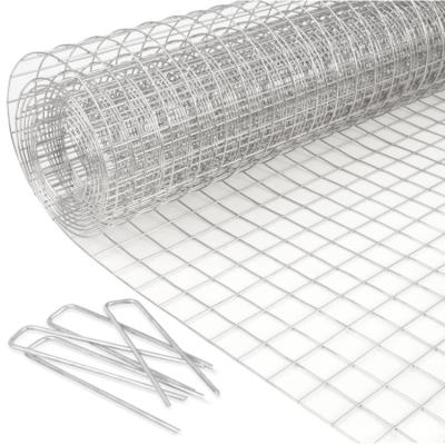 China Direct Wholesale Good Quality Wire Mesh Galvanized Bird Cage Brc Welded Wire Mesh Roll For Fence Mesh for sale