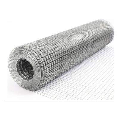 China Manufacturers Farm Fence Galvanized Bird Cage Welded Wire Mesh Roll For Fence Mesh for sale