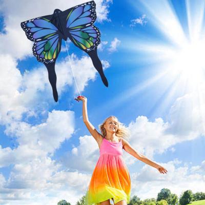 China Toy Wholesale Chinese Traditional Custom Durable Ripstop Nylon Butterfly 3d Kite for sale