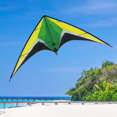 China Toy China factory wholesale sport kites power kites sports products outdoor parasailing kites for sale