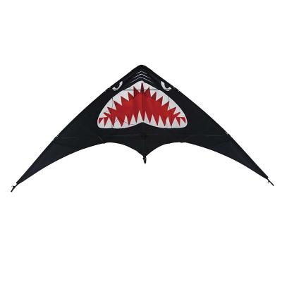 China Wholesale high quality outdoor line of toy double Chinese stunt kite sport kite for adult for sale