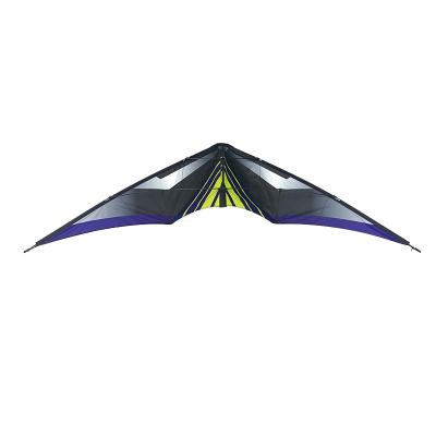 China Different Shape Toy Good Quality Kites Shape Kites For Adults New Design Stunt Sport Kites for sale