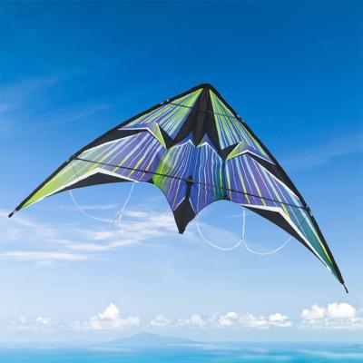 China Toy factory dicret sale good quality delta kites flying model line new novelty kites double well for sale