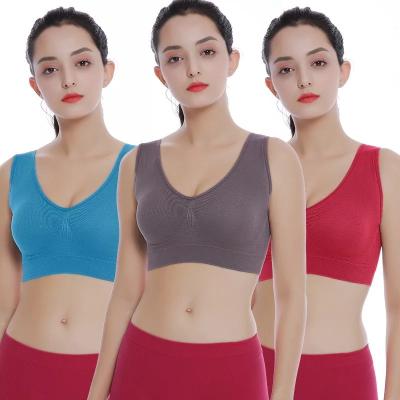 China Wholesale Seamless Seamless Cotton Bra 32 Size Cotton Comfort Bra Women's Factory Removable Pads Push Up Triangle Bra for sale