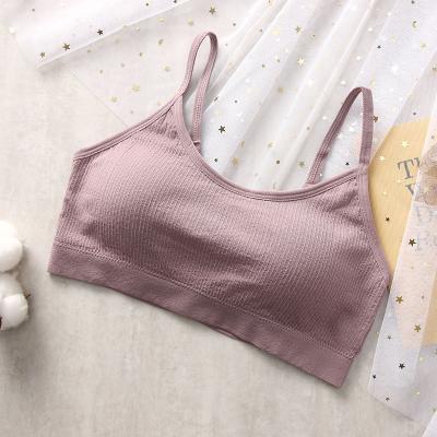 China Antibacterial Hot Sale Underwear Women No Small Steel Ring Summer Chest Gathered Sports Beauty Back Tube Top for sale