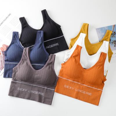 China Breathable Factory Wholesale Sport Yoga Lift Up Gathering Plasticity Back Beautiful Multi Color Daily Seamless Tube Top for sale