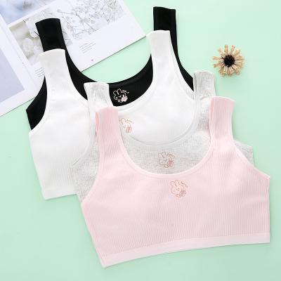 China Factory Wholesale Puberty Bra Designs Breathable For Student Comfortable Solid Young Girls Bra Teen Girls Padded Bra for sale