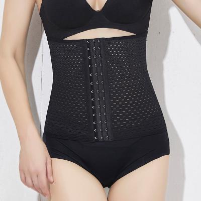 China Factory Wholesale Breathable Grid Belly Trimmer Abdomen Waist Trainer Front Row Button Waist Trainer Belt for sale