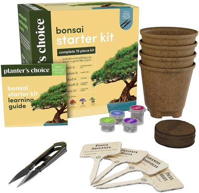 China Europe Herb Planter Garden Kit Flower Pots Gift Box Seed Plants Bonsai Seed Indoor Gardening Kit for sale