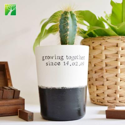 China Exclusive Wholesale Exclusive Home Decoration Personalized Small Succulent Plant Pot for sale