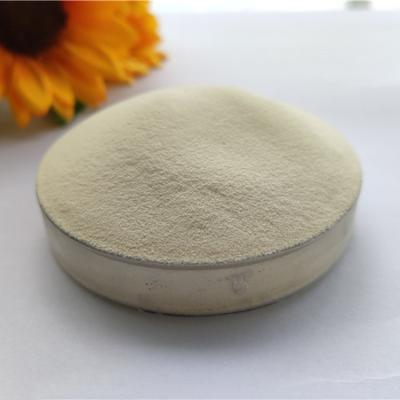 China Glucose Protein Powder Protein D22 for sale