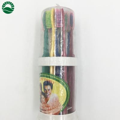 China Daily Toothbrush OALIENT FAMILY 12 Pcs Stiffen Hard Round Plastic Box Family Packed Toothbrush for sale