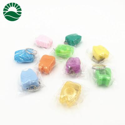 China PP And Recycle Using Key Chain Tooth Shaped Dental Floss for sale