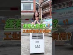 Refrigerant dehumidifier