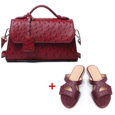 China Fashion Newcomer Designer Handbags Famous Brands Luxury Slippers and Purses Set Women Handbags Purses and Shoes Set for sale