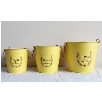 China Small Size Garden Powder Coating Metal Flower Bucket for sale