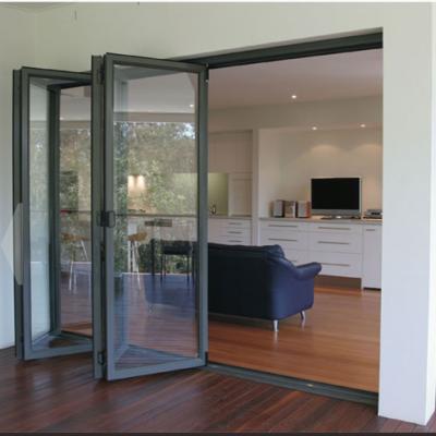 China Cheap Folding Screen Entry Doors Reflective Glass Translucent Glass Doors For Homes Exterior for sale