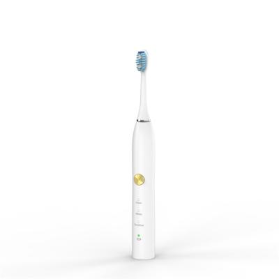 China High Quality Workshop 3w Electric Toothbrush Rechargeable Washable Deep Clean Adult Electric Toothbrush 37*37*247mm for sale