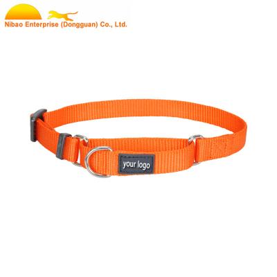 China Viable Custom Adjustable Dog Collar Buckle Martingale Dog Collar for sale