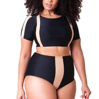 China 2020 High Waist Women's QUICK DRY Swimsuit Plus Size Sexy Two Piece Bikinis Swimwear for sale