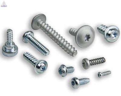 China Pan Screw Fastener Stainless Steel Tapping Screws Metal Screws Customized for sale