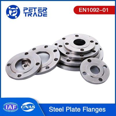 China European Standard EN1092-01 ASTM A105 Plate Flange Carbon Steel PN16 PLFF/PLRF for Industrial Applications for sale