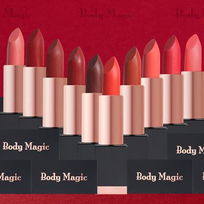 China Waterproof 10 Colors Cosmetic Make Up Vegan Waterproof Luxury Silky Velvet Lipstick Ladies Makeup OEM Matte Lipstick for sale