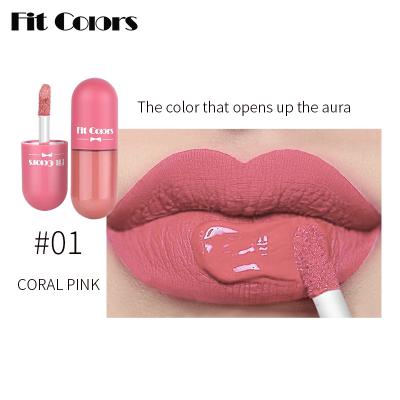 China Free Sample Waterproof Gloss Pour Les Levre Lapiz Labial De Labios Moisturizing Lipsticks Waterproof Liquid Vegan Matte Lip Gloss for sale